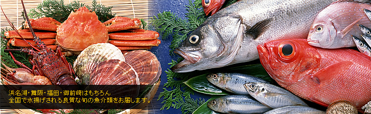 浜名湖・舞阪・福田・御前崎はもちろん、全国で水揚げさてる良質な旬の魚介類をお届けします。